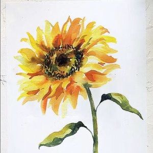 Meet your Posher, Ray